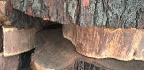 petrified wood furniture